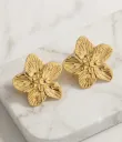 Sophia's earrings